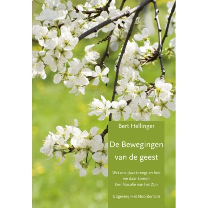 De Bewegingen Van De Geest - Bert Hellinger