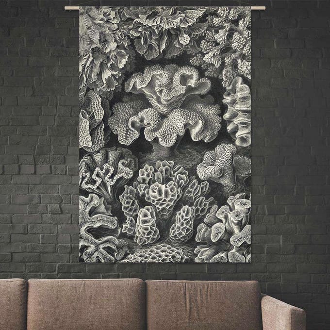 Wandkleed Ernst Haeckel - Koraal