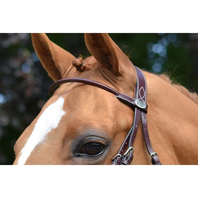 Frontaal voor paard Jump'In Monday