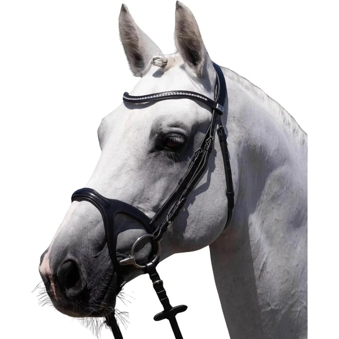 Paardentuig Premier Equine San Paolo