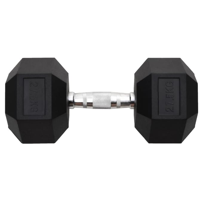 vidaXL - Halters - 27,5 - kg - gietijzer