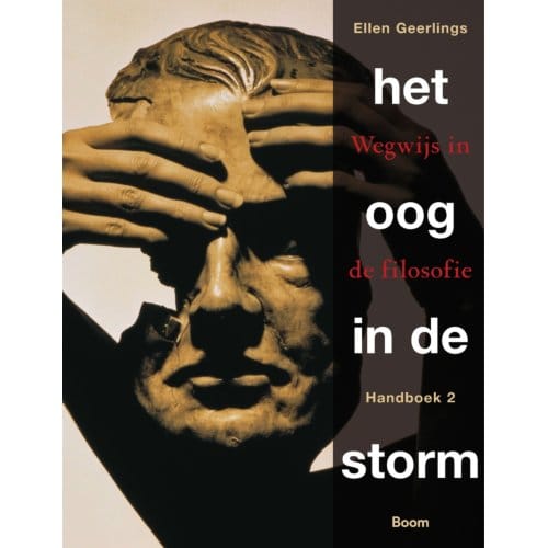 Het Oog In De Storm - Ellen Geerlings
