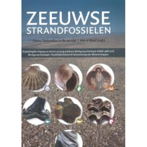 Zeeuwse Strandfossielen