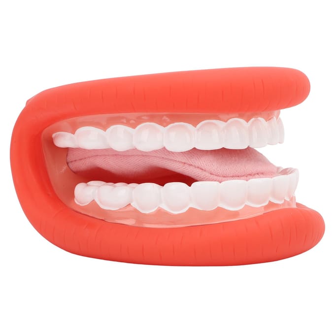 Mondpop met Tong Tanden Model Borstel voor Spraakherstel Jongens Meisjes Educatief Gereedschap beige