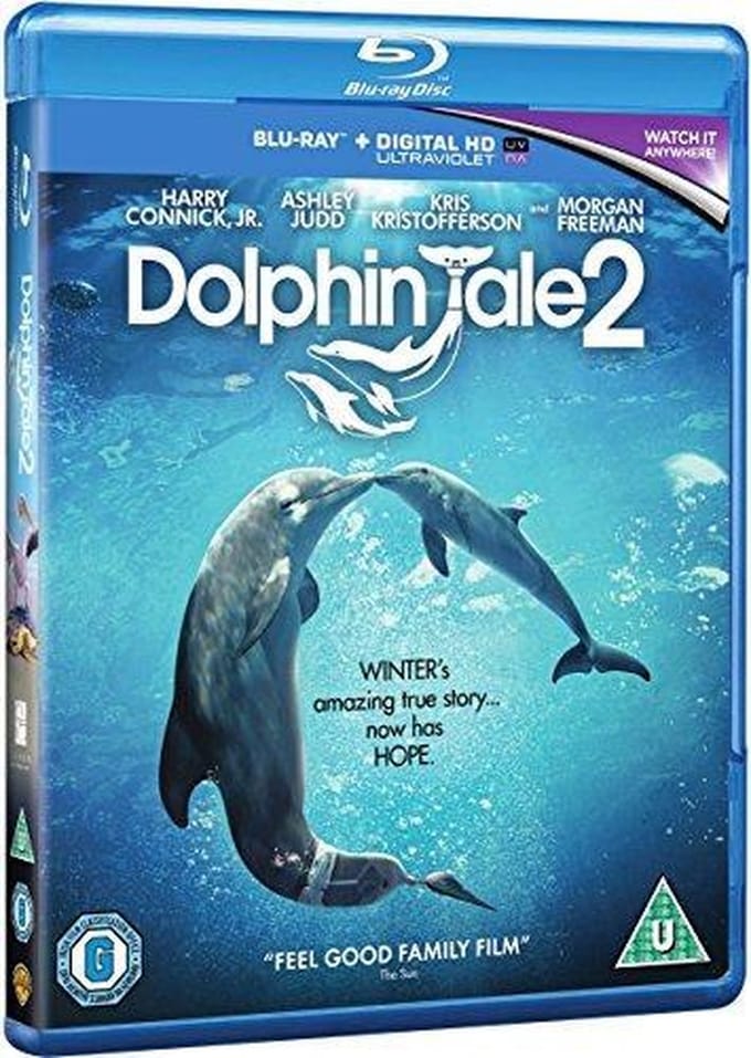 Dolphin Tale 2