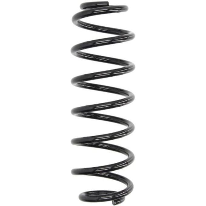 Chassisveer MAGNUM TECHNOLOGY SW137