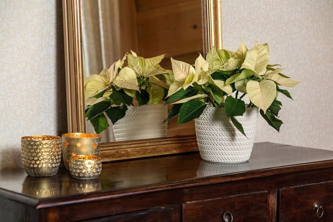 Magnolia Jersey Pot 16cm - Gerecycled Plastic - Crème