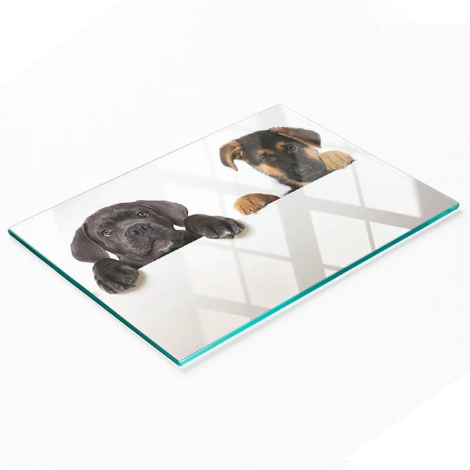 Glazen serveerplank met afbeelding van drie puppy's, 80x52 cm