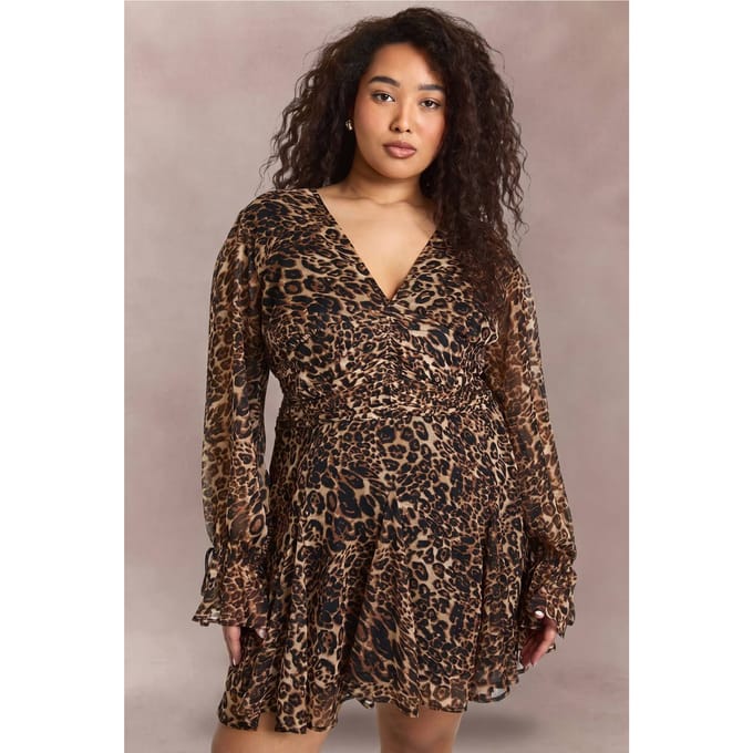 boohoo Dames Plus Leopard Getailleerde Skater Jurk | Luipaardprint | Maat: 44