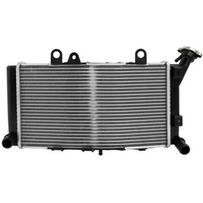 Motorradiateur Brazoline Bmw F 850 Gs (2019-2023)