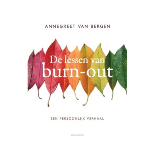 De Lessen Van Burn-Out - Annegreet van Bergen