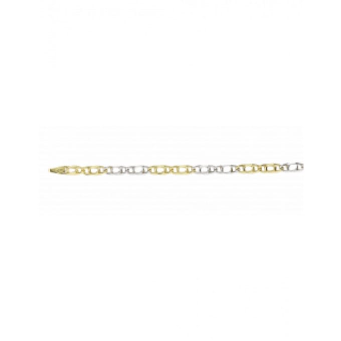 Fjory Ketting 41-V0560 14 Karaat Goud 60