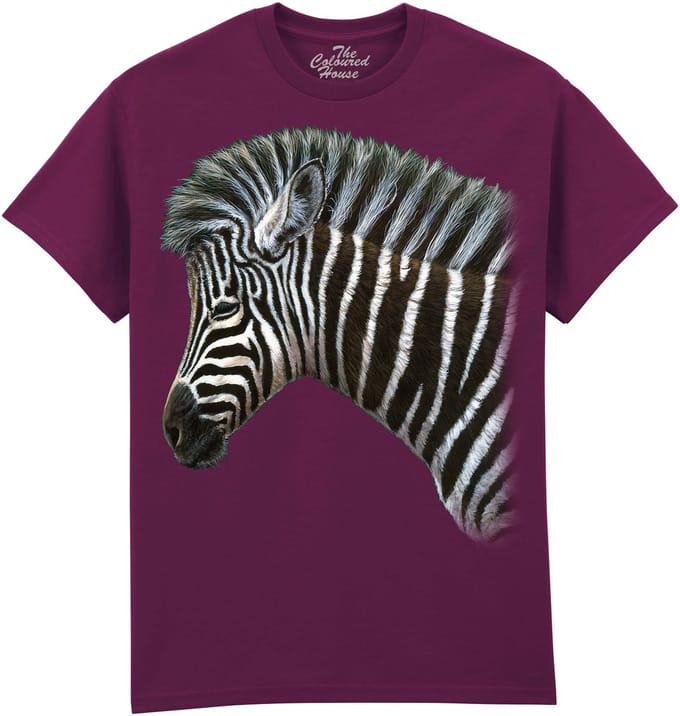 Zebra Foal The Coloured House T-shirt M