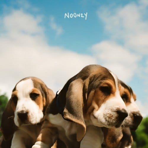 Noonzy - Puppies (12" Single)
