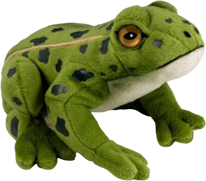 Pluche Kikker - Knuffeldier Speelgoed - Cadeau Idee - Natuurlijk Ontwerp - 19 cm Hoog
