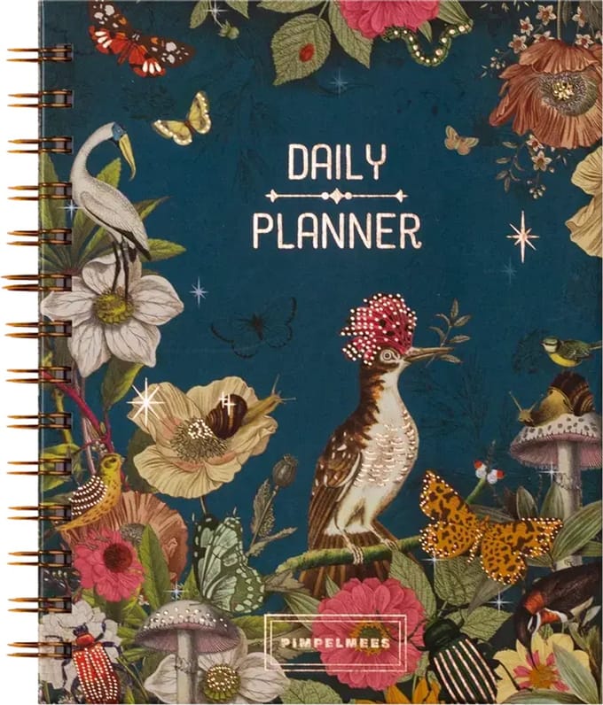 Pimpelmees Dagplanner Sky