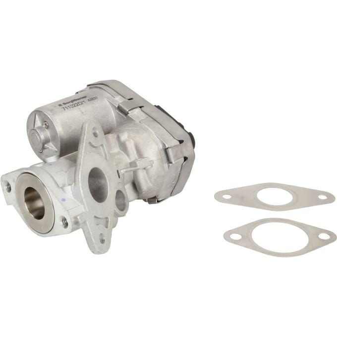 Borg Warner EGR-klep WAHLER 711022D