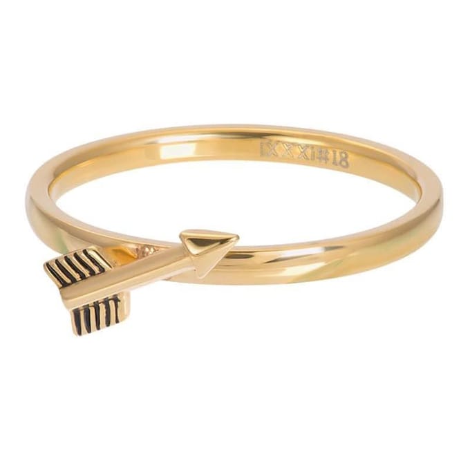 iXXXi Vulring Symbol Arrow Goud | Maat 20