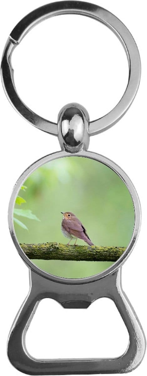 Bieropener Glas - Vogel