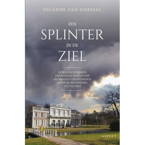 Een Splinter In De Ziel - Jolande van Gorssel