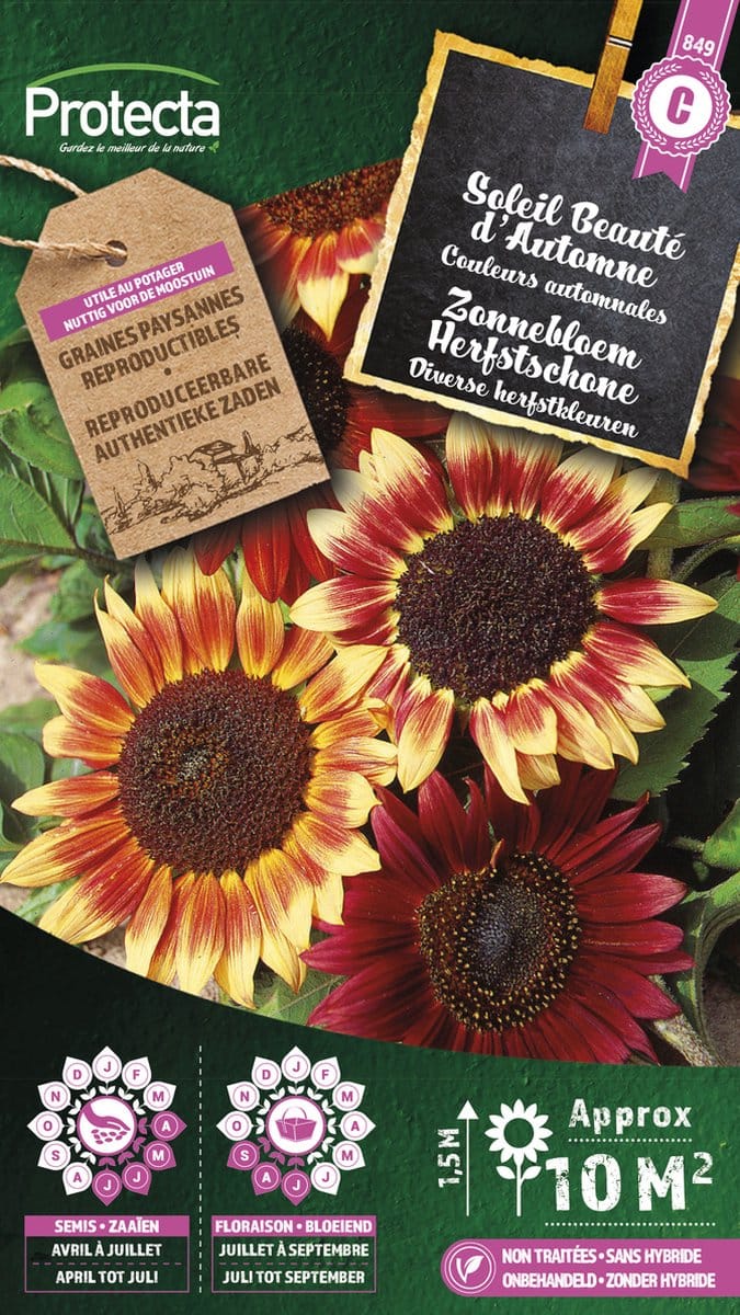 Protecta Bloemen zaden: Zonnebloem Herfstschone
