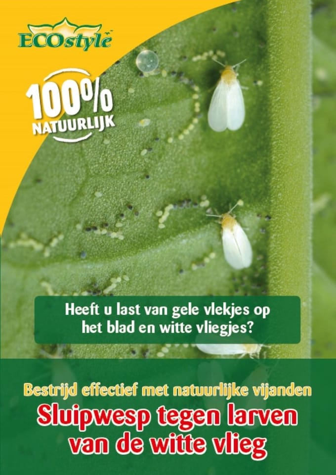 ECOstyle Sluipwesp Tegen de Larven van de Witte Vlieg