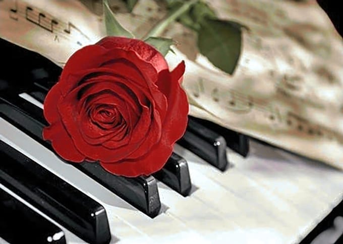 Wizardi Diamond painting WD053 - Rose Music 38x48 cm