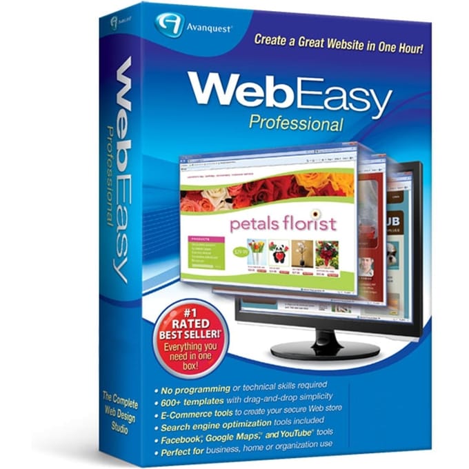 WebEasy Professional 10, English