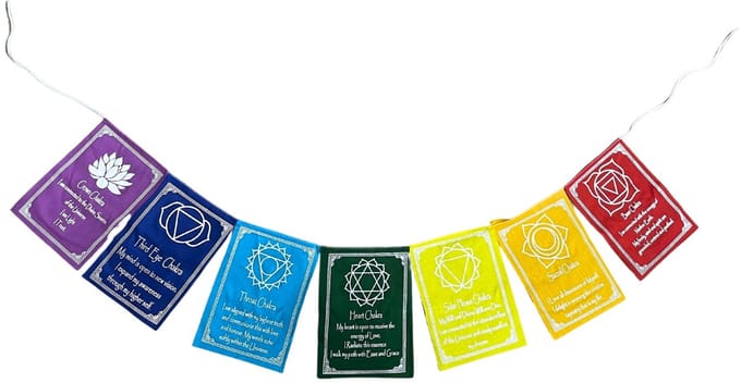 Zeven Chakra Vlaggen - Groot - 24 cm x 230 cm