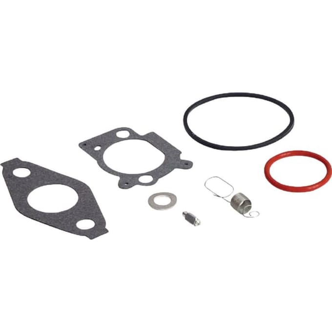 Briggs & stratton carburateur reparaties