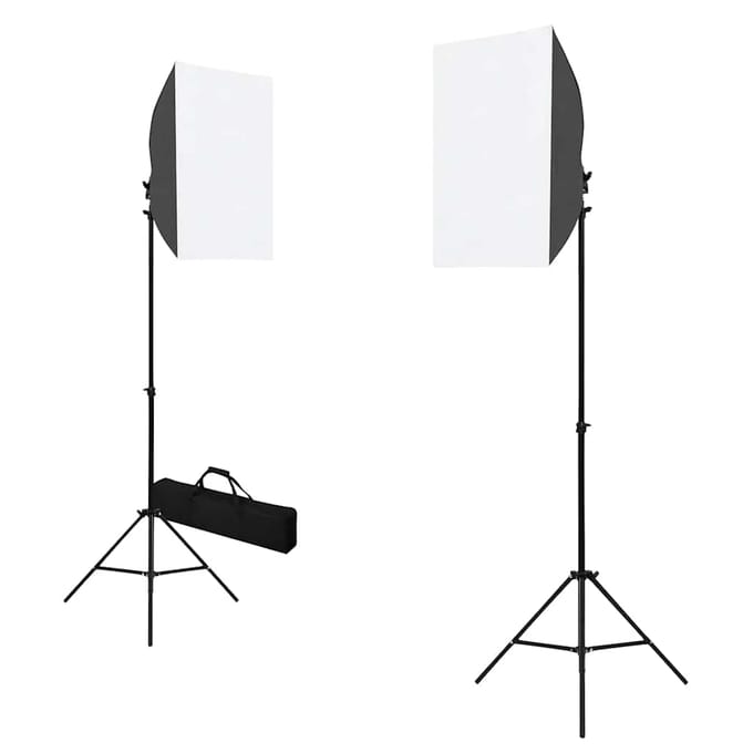 vidaXL - Professionele - studiolampen - 2 - st - 40x60 - cm - staal - zwart