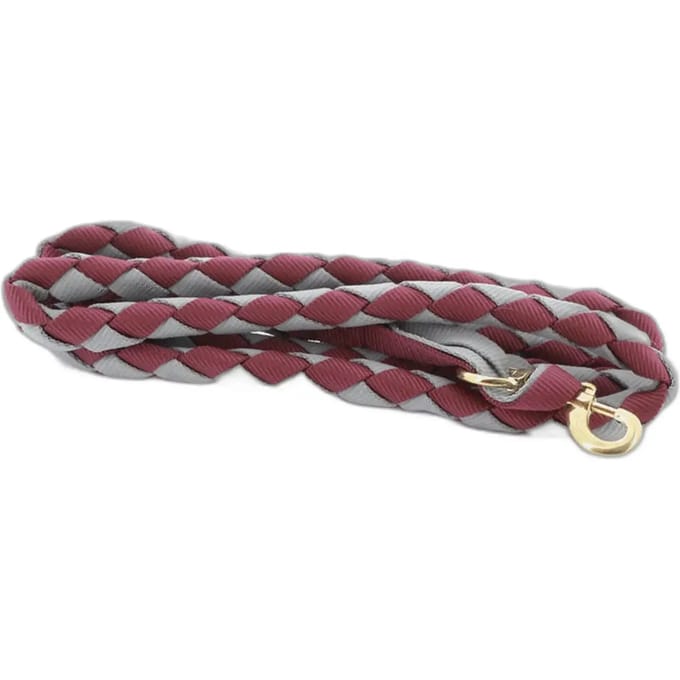Amerikaans paard lanyard Norton