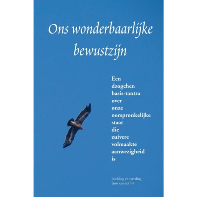 Ons Wonderbaarlijke Bewustzijn - Sjon van der Tol