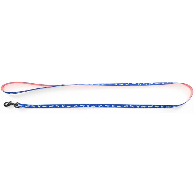 Nylon hondenriem Martin Sellier Cat Bico