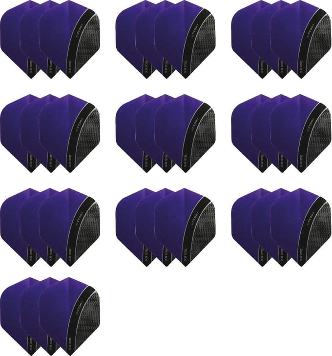 10 - Sets XS100 Curve 100 micron flights - Paars