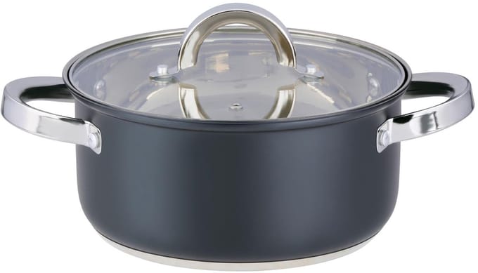 alpina Kookpan met Glazen Deksel 21 cm - 3,6L RVS Pan - Alle Warmtebronnen