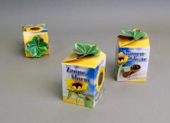 Greengift Zonnebloem 125 stuks