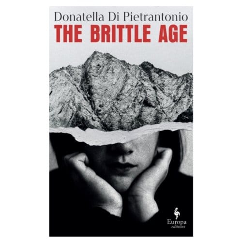Het Breekbare Tijdperk door Donatella Di Pietrantonio Paperback Boek 9781787705616