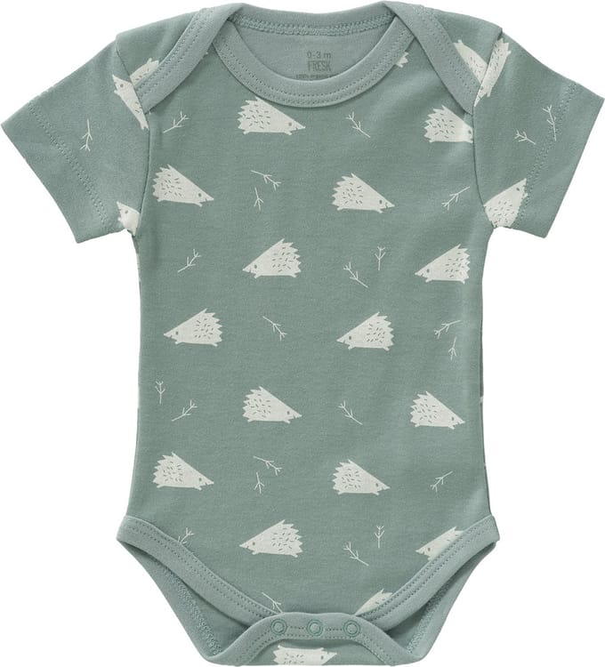 Fresk Romper met Korte Mouwen - 3-6 m - Biologisch Katoen - Groen - Hedgehog