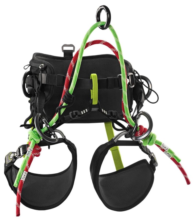 Edelrid Klimgordel TreeRex II Maat 2 Heupomvang 84–121 cm