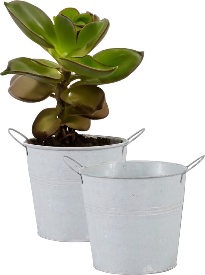 Mega Collections Emmer/plantenpot/bloempot - 2x - zink - whitewash - D18 x H16 cm