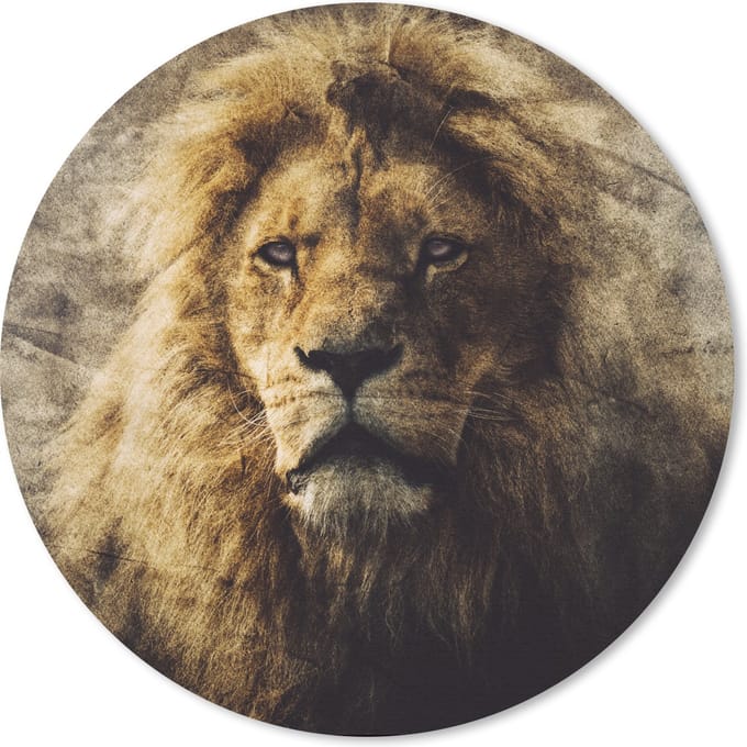Muismat rond 20x20 cm - Mousepad Leeuwen - Abstract - Kleur - Ronde muismatten