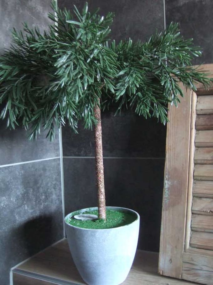 Demu boompje met pot