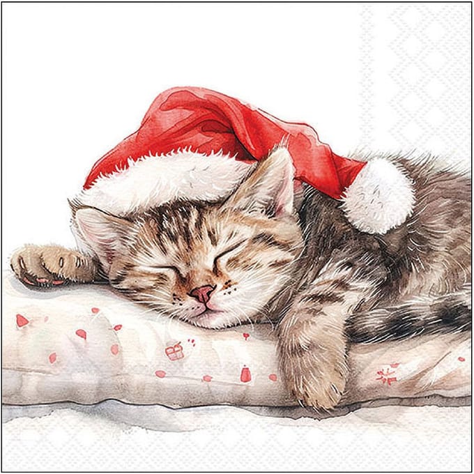 Servet "Dreaming About X-Mas"