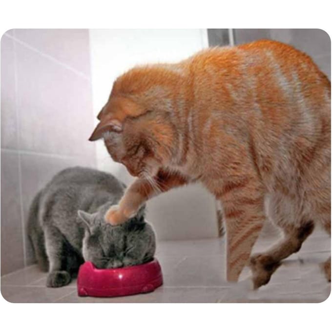 CAT-9 Muismat Leuke Kattenfoto Antislip Gaming Muismat Vervanging voor PC Computer Laptop CAT-7 brown