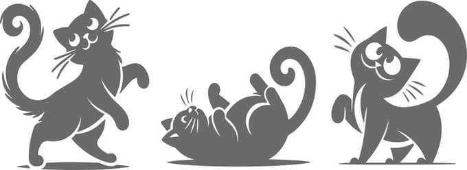 Raam - muur - wall art - stickers grappige katten - poezen - kittens