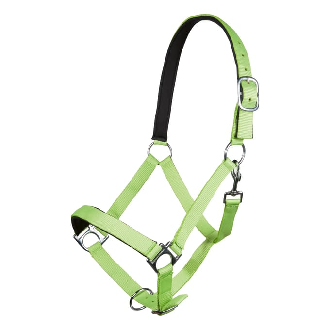Halster voor paarden HKM Stars Softice