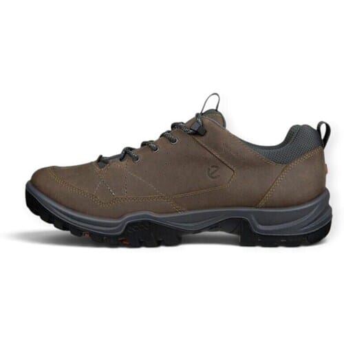 ECCO Receptor Trekk wandelschoenen heren - Nutmeg Brown