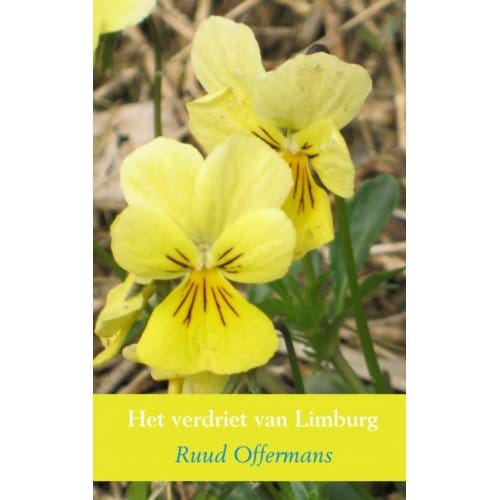 Het Verdriet Van Limburg - Ruud Offermans