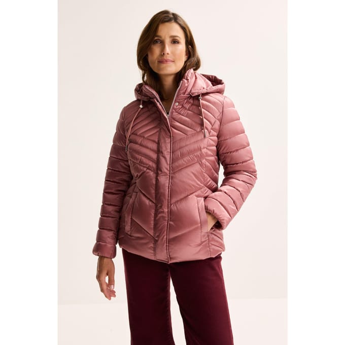Getailleerd Quilted Jasje